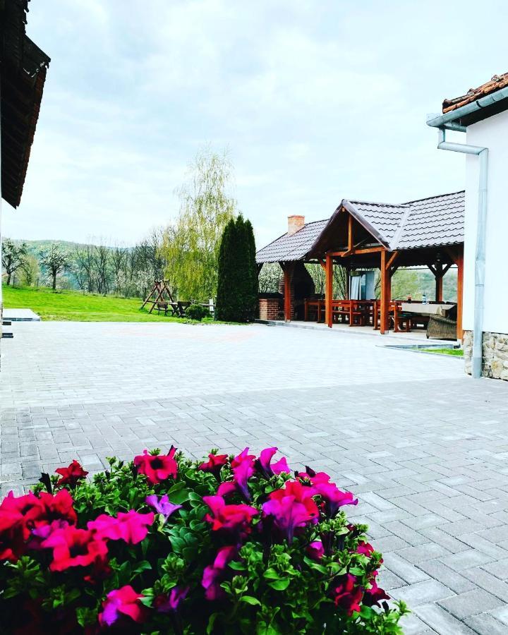 Pensiunea Turistica Retreat Belvedere Vadu Crisului Εξωτερικό φωτογραφία